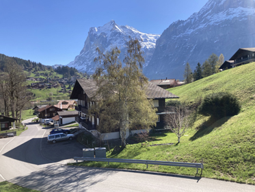 aussen sommer_10