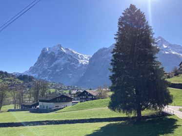 aussen sommer_14