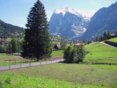 aussenansicht sommer15